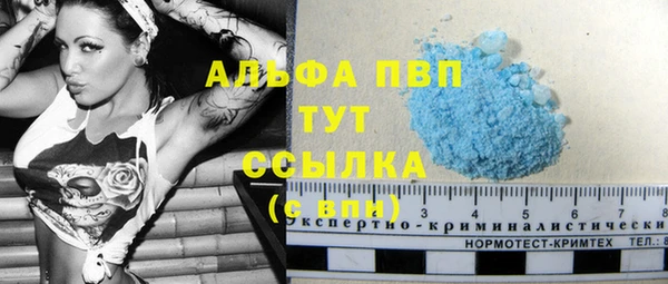 стафф Белокуриха