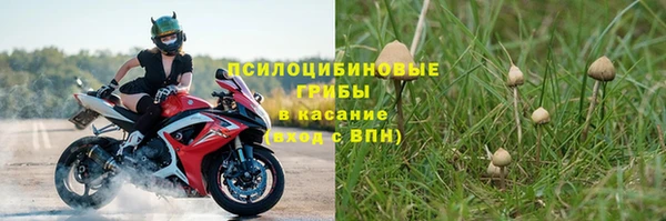 дурь Белоозёрский