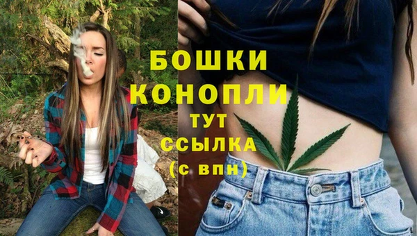 трава Беломорск