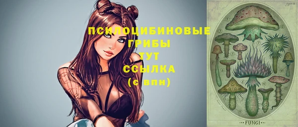 трава Беломорск